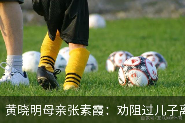黄晓明母亲张素霞：劝阻过儿子离婚，如今孙子成了她的“心病”